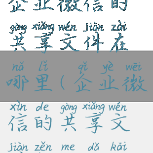 企业微信的共享文件在哪里(企业微信的共享文件怎么打开)