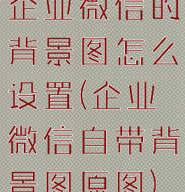 企业微信的背景图怎么设置(企业微信自带背景图原图)