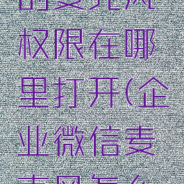 企业微信的麦克风权限在哪里打开(企业微信麦克风怎么开)