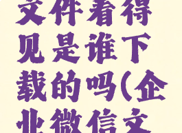 企业微信下载微盘文件看得见是谁下载的吗(企业微信文件下载有记录吗)