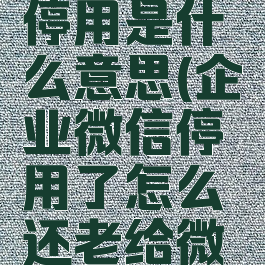 企业微信停用是什么意思(企业微信停用了怎么还老给微信发消息)