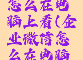 企业微信怎么在电脑上看(企业微信怎么在电脑上看直播)