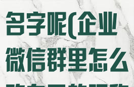 企业微信怎么改群里自己的名字呢(企业微信群里怎么改自己的昵称)