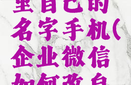 企业微信怎么改群里自己的名字手机(企业微信如何改自己的群名称)