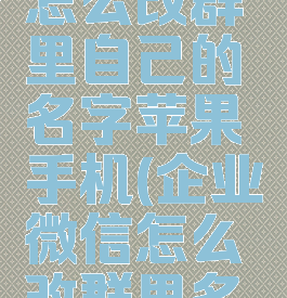 企业微信怎么改群里自己的名字苹果手机(企业微信怎么改群里名称)