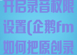 企鹅fm在哪开启录音权限设置(企鹅fm如何把原创录音变公开)