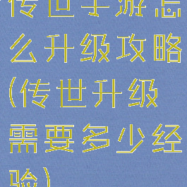 传世手游怎么升级攻略(传世升级需要多少经验)