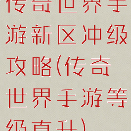 传奇世界手游新区冲级攻略(传奇世界手游等级直升)
