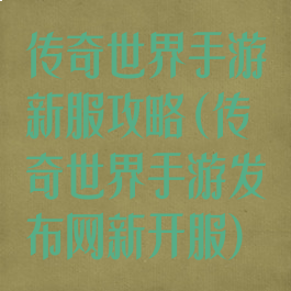 传奇世界手游新服攻略(传奇世界手游发布网新开服)