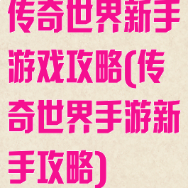 传奇世界新手游戏攻略(传奇世界手游新手攻略)