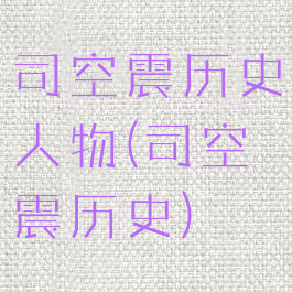 司空震历史人物(司空震历史)