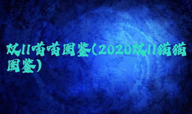 双11喵喵图鉴(2020双11猫猫图鉴)
