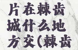 发光的碎片在棘齿城什么地方交(棘齿城在哪)