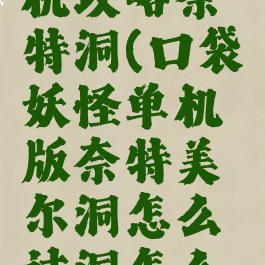 口袋怪单机攻略奈特洞(口袋妖怪单机版奈特美尔洞怎么过洞怎么走)