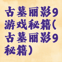 古墓丽影9游戏秘籍(古墓丽影9秘籍)