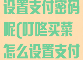 叮咚买菜在哪设置支付密码呢(叮咚买菜怎么设置支付方式)