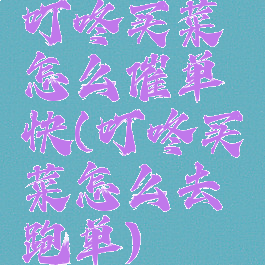 叮咚买菜怎么催单快(叮咚买菜怎么去跑单)