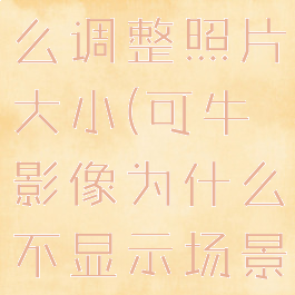 可牛影像怎么调整照片大小(可牛影像为什么不显示场景)