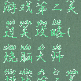 史上最烧脑游戏第二关过关攻略(烧脑大师挑战第二关)