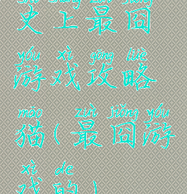 史上最囧游戏攻略猫(最囧游戏的)