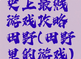 史上最贱游戏攻略田野(田野里的游戏)