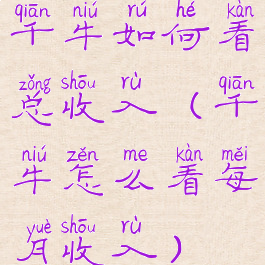 千牛如何看总收入(千牛怎么看每月收入)