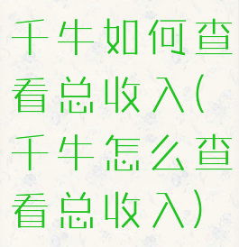 千牛如何查看总收入(千牛怎么查看总收入)