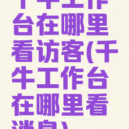 千牛工作台在哪里看访客(千牛工作台在哪里看消息)