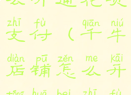 千牛店铺怎么开通花呗支付(千牛店铺怎么开通花呗支付功能)