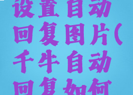 千牛怎么设置自动回复图片(千牛自动回复如何设置图片)