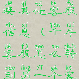 千牛怎么转接其他客服信息(千牛客服怎么转到另一个客服)