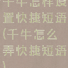 千牛怎样设置快捷短语(千牛怎么弄快捷短语)