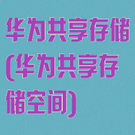 华为共享存储(华为共享存储空间)