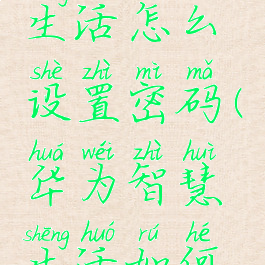 华为智慧生活怎么设置密码(华为智慧生活如何设置密码)