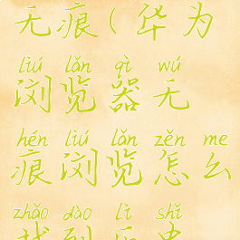 华为浏览器无痕(华为浏览器无痕浏览怎么找到历史记录)