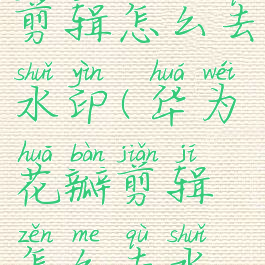 华为花瓣剪辑怎么去水印(华为花瓣剪辑怎么去水印保存)