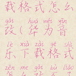 华为音乐下载格式怎么改(华为音乐下载格式怎么改不了)