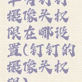 华为钉钉摄像头权限在哪设置(钉钉的摄像头权限)