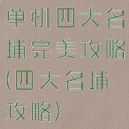 单机四大名捕完美攻略(四大名捕攻略)
