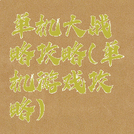 单机大战略攻略(单机游戏攻略)