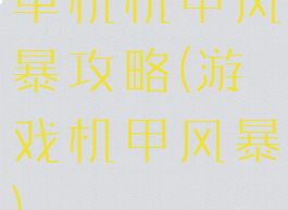 单机机甲风暴攻略(游戏机甲风暴)