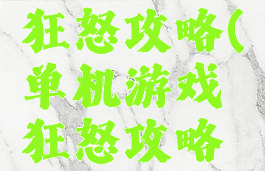 单机游戏狂怒攻略(单机游戏狂怒攻略大全)