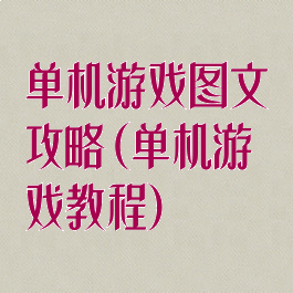 单机游戏图文攻略(单机游戏教程)