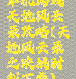 单机游戏天地风云录攻略(天地风云录之决战时刻下载)