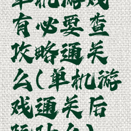 单机游戏有必要查攻略通关么(单机游戏通关后玩什么)