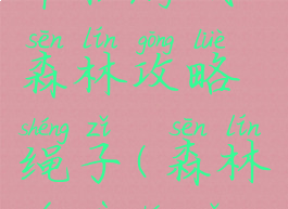 单机游戏森林攻略绳子(森林游戏绳子)