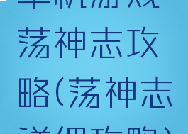 单机游戏荡神志攻略(荡神志详细攻略)