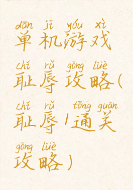 单机游戏耻辱攻略(耻辱1通关攻略)