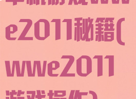 单机游戏wwe2011秘籍(wwe2011游戏操作)
