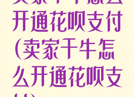 卖家千牛怎么开通花呗支付(卖家千牛怎么开通花呗支付)